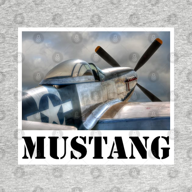 P51 Mustang by SteveHClark